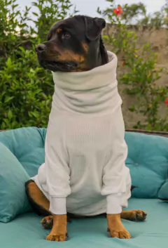 Suéter Canelado Off White - Ammolite Pet Supply