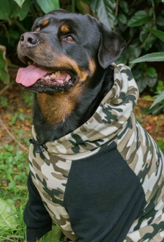 Moletom Raglan Camuflado - loja online