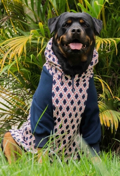 Moletom Raglan Argyle Azul - Ammolite Pet Supply