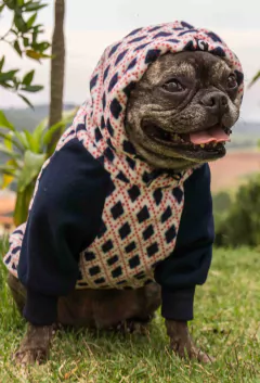 Moletom Raglan Argyle Azul