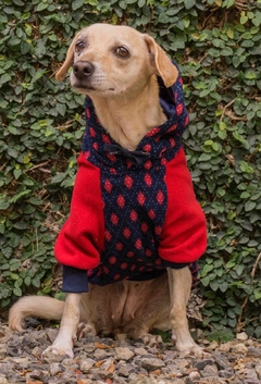 Moletom Raglan Argyle Vermelho