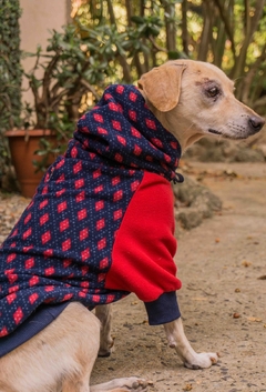 Imagem do Moletom Raglan Argyle Vermelho