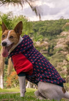 Moletom Raglan Argyle Vermelho