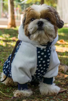 Moletom Canelado Poá