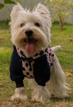 Moletom Raglan Argyle Azul - Ammolite Pet Supply