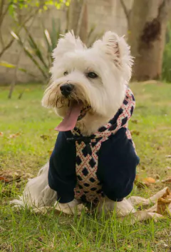 Imagem do Moletom Raglan Argyle Azul