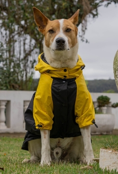 Anorak Impermeável Yellack - loja online