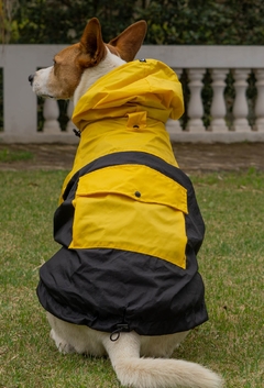 Anorak Impermeável Yellack - comprar online