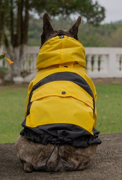 Anorak Impermeável Yellack - comprar online