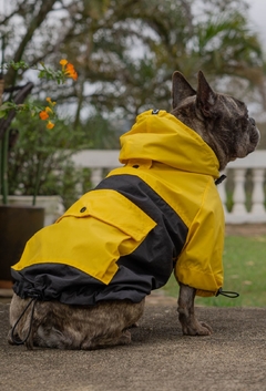 Anorak Impermeável Yellack - Ammolite Pet Supply