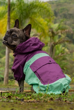 Anorak Impermeável Greenple - comprar online