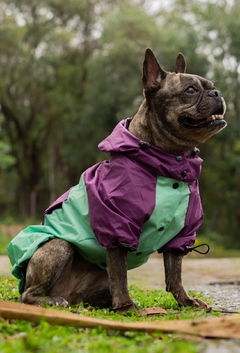 Imagem do Anorak Impermeável Greenple