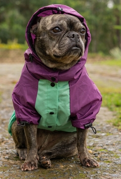 Anorak Impermeável Greenple