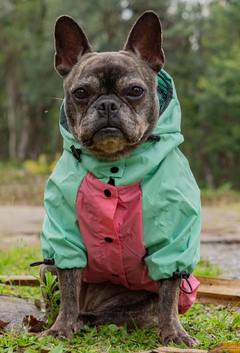Anorak Impermeável Pinkreen