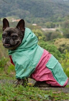 Anorak Impermeável Pinkreen - loja online