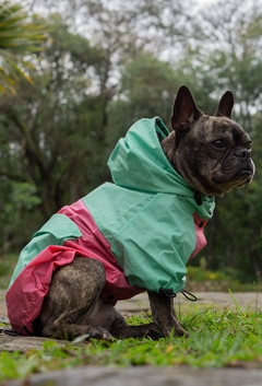 Anorak Impermeável Pinkreen - Ammolite Pet Supply