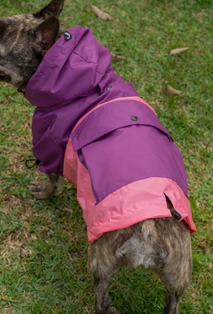 Anorak Impermeável Pinkle - Ammolite Pet Supply