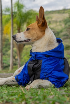 Anorak Impermeável Bluck - comprar online