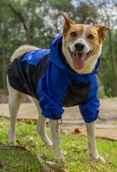 Anorak Impermeável Bluck na internet