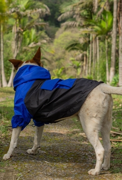 Anorak Impermeável Bluck - loja online