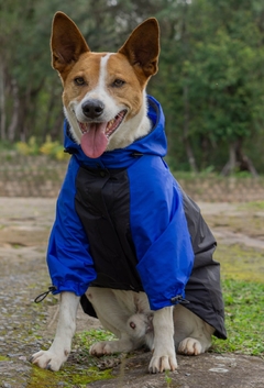 Anorak Impermeável Bluck
