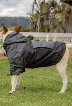 Anorak Impermeável Grayck na internet