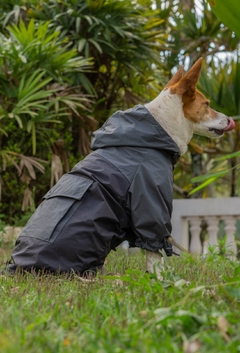 Anorak Impermeável Grayck - comprar online
