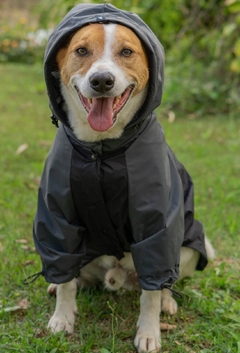 Anorak Impermeável Grayck