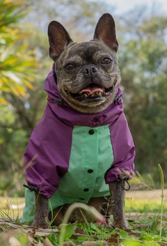 Anorak Impermeável Greenple