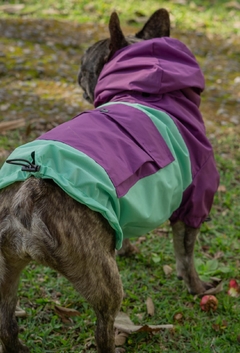Anorak Impermeável Greenple na internet