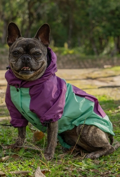 Anorak Impermeável Greenple - Ammolite Pet Supply