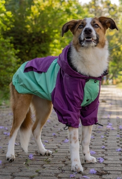 Imagem do Anorak Impermeável Greenple