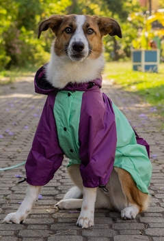 Anorak Impermeável Greenple