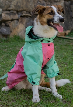 Anorak Impermeável Pinkreen - comprar online