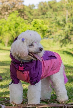 Anorak Impermeável Pinkle - Ammolite Pet Supply