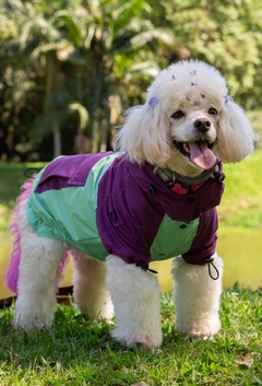 Anorak Impermeável Greenple na internet
