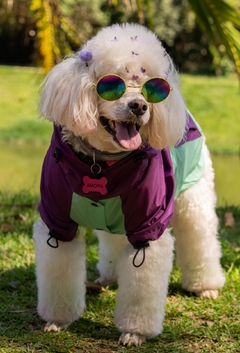 Anorak Impermeável Greenple - comprar online