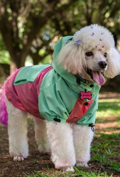 Anorak Impermeável Pinkreen - comprar online