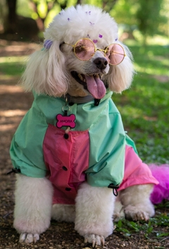 Anorak Impermeável Pinkreen