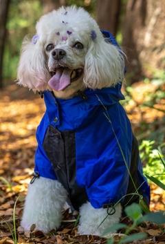 Anorak Impermeável Bluck - comprar online