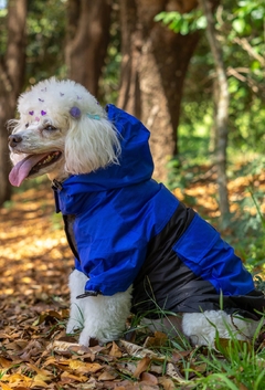 Anorak Impermeável Bluck na internet