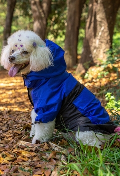 Anorak Impermeável Bluck - Ammolite Pet Supply