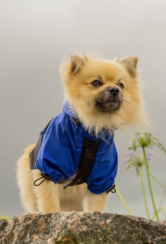 Imagem do Anorak Impermeável Bluck