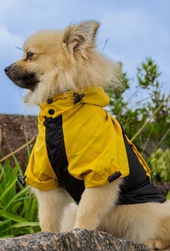 Anorak Impermeável Yellack - loja online