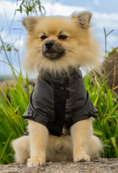 Anorak Impermeável Grayck - Ammolite Pet Supply