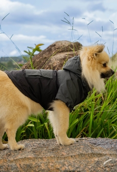 Anorak Impermeável Grayck - loja online
