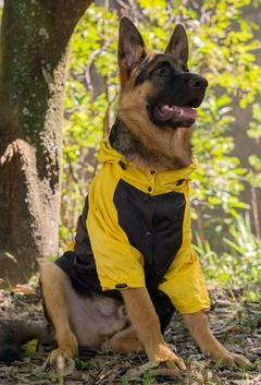Anorak Impermeável Yellack