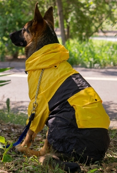 Anorak Impermeável Yellack - comprar online