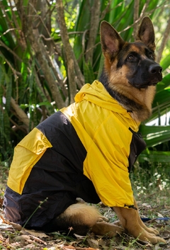 Anorak Impermeável Yellack - Ammolite Pet Supply