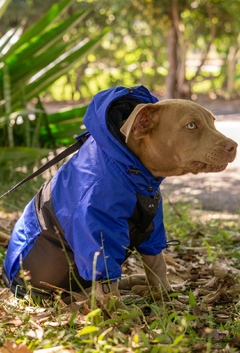 Imagem do Anorak Impermeável Bluck